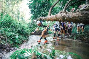 BIB: 
                            <button type="button" onclick="openModal(25468611)" class="btn btn-primary btn-sm float-right btn-popup" data-toggle="modal" data-target=".modal-high-quality">
                        <i class="fas fa-shopping-cart"></i> Add to Cart
                    </button>
                                            <button type="button" onclick="isThisMe(25468611, true)" class="btn btn-success btn-sm float-right btn-popup btn-isme hidden" data-toggle="tooltip" data-placement="bottom" title="นี่คือรูปของคุณใช่ไหม คลิกที่นี่เพื่อเอาเข้าอัลบั้ม">
                        <i class="fas fa-plus"></i> Add to album
                    </button>
                    <button type="button" onclick="isThisMe(25468611, false)" class="btn btn-warning btn-sm float-right btn-popup btn-isnotme hidden">
                        <i class="fas fa-ban"></i> Remove from album
                    </button>